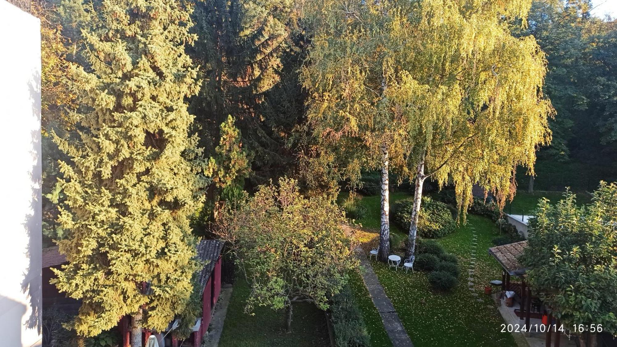 Apartman Oaza Olja Βελιγράδι Εξωτερικό φωτογραφία