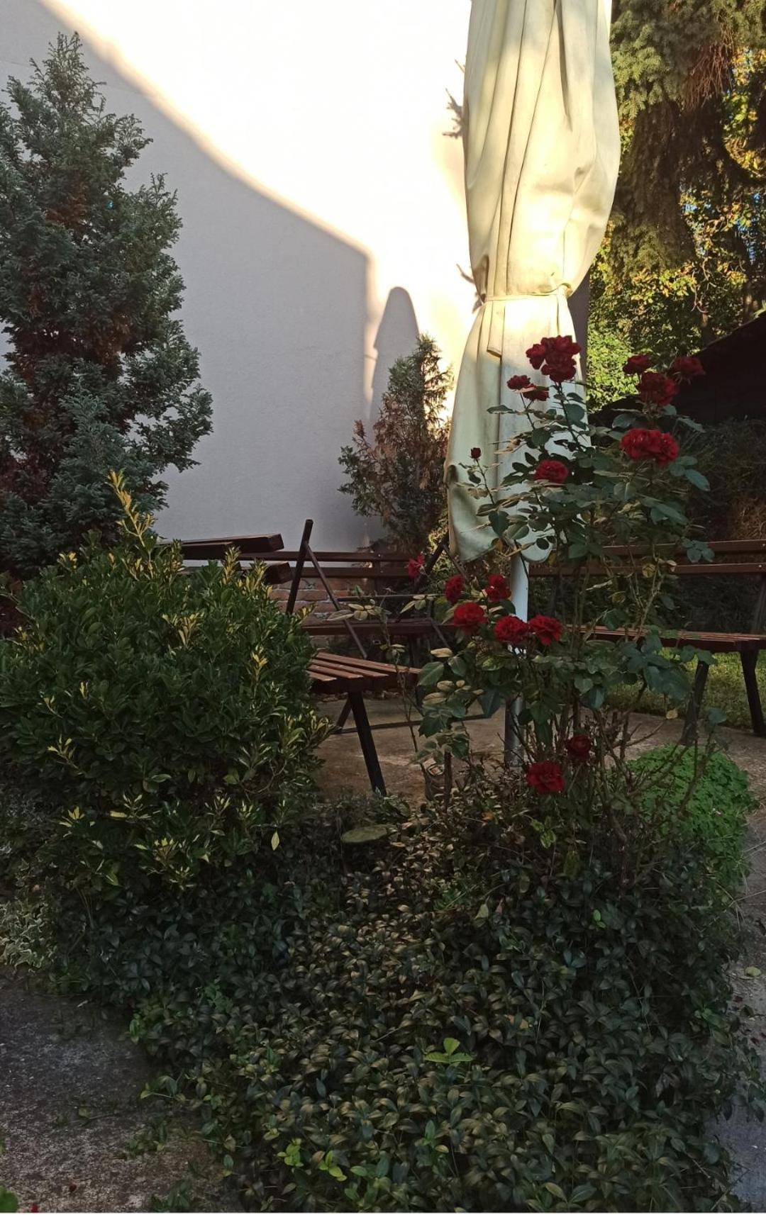 Apartman Oaza Olja Βελιγράδι Εξωτερικό φωτογραφία
